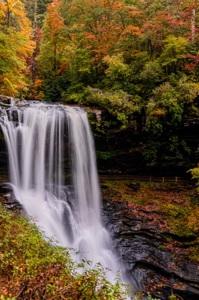 Dry Falls