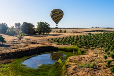 Hot Air Balloon in Napa Valley
