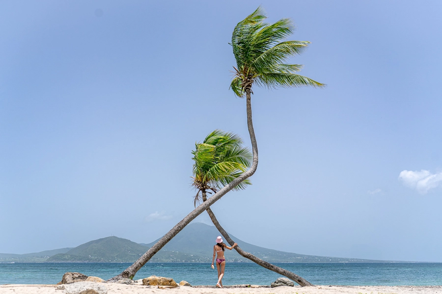 Palm Trees & Nevis Peak