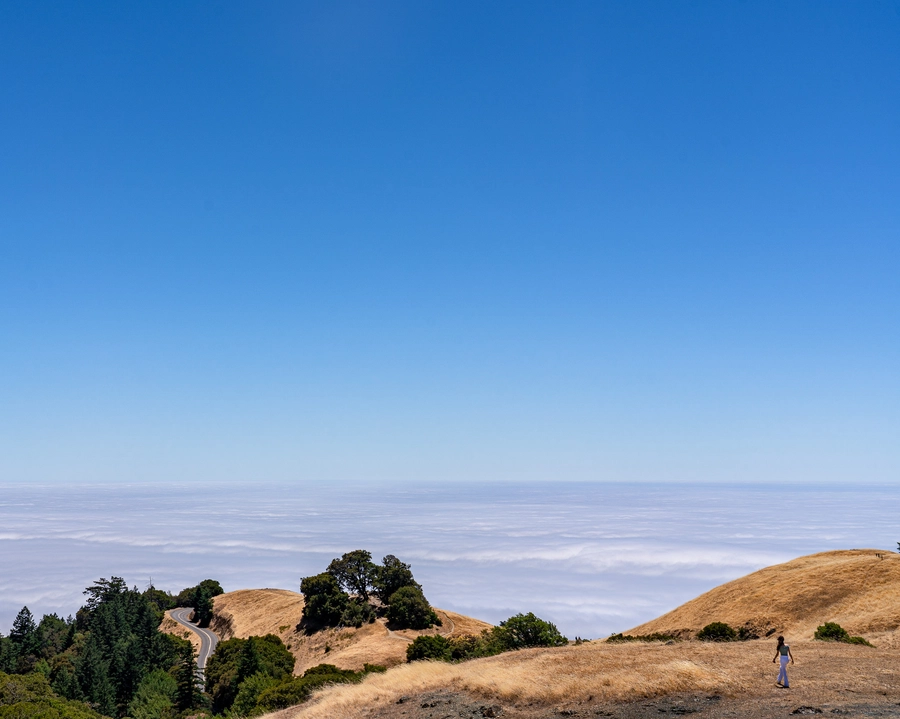 Above the Clouds