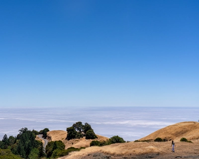 Above the Clouds